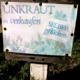 2209G 041 Groemitz Ostsee